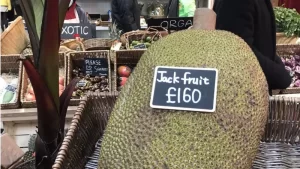 Mengapa Harga Satu Buah Nangka di Pasar London Mencapai Lebih Dari Rp3 Juta?
