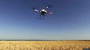 Bercocok Tanam Bunga Matahari Dengan Drone