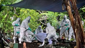 Kemenkes Klaim Tren Kasus COVID-19 Nasional Mulai Menurun