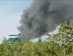 Pabrik PT Domba Mas Kuala Tanjung Terbakar, Polisi Periksa 2 Karyawan