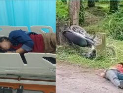 3 Kendaraan Tabrakan di Jalinsum Batu Bara,  3 Luka