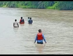 Naek Panjaitan Hanyut Terseret Arus Sungai Saat Hendak Cari Brondolan Sawit