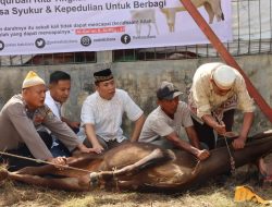 Polres Batu Bara Sembelih 6 Sapi Qurban