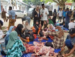 Keluarga Besar Disdik Batu Bara Sembelih 16 ekor Sapi Qurban