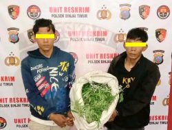 Dua Terduga Kurir 1 Kg Ganja Diringkus Polsek Binjai Timur