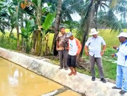 UHa : Pendangkalan Irigasi Sekunder Air Putih Masuk Di Anggaran P-APBDSU 2022
