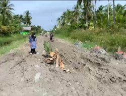 Warga Nibung Hangus Batu Bara Buat 17 ‘Kuburan’ Protes Kondisi Jalan Rusak