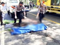 Laga Kambing Vs Dum Truk Pengendara Vario Tewas Mengenaskan, Supir Dum Truk Kabur
