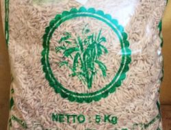Kades Cengkring Pekan Ngaku Penangkar Bibit Padi di Batu Bara