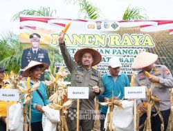 Mendukung Program Ketahanan Pangan, Bupati dan Kapolres Batu Bara Panen Raya Jagung