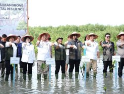 Tingkatkan Potensi Hutan Manggrove di Batu Bara, Menteri Kehutanan Kunjungi Hutan Manggrove di Pantai Sejarah