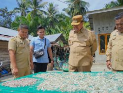 Kembangkan Ekonomi Desa, Bupati Batu Bara Tinjau Sentra Perikanan dan UMKM Desa Sentang